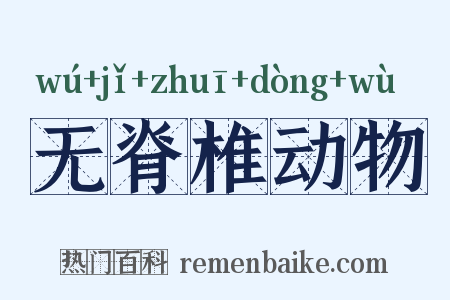 无脊椎动物是什么意思的图片
